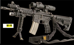 Arms Accessories